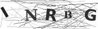 Please refresh your browser to see this image.